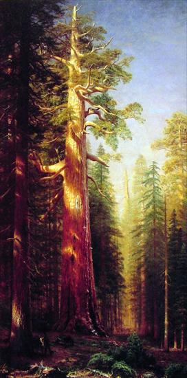 Albert Bierstadt 1830-1902 - The_Great_Trees.jpg