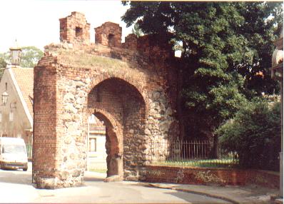 Toruń - zamek1.jpg